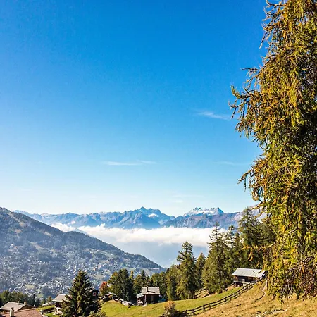 Pracondu 2 001 - Outdoor & Fun Charming * ננדה