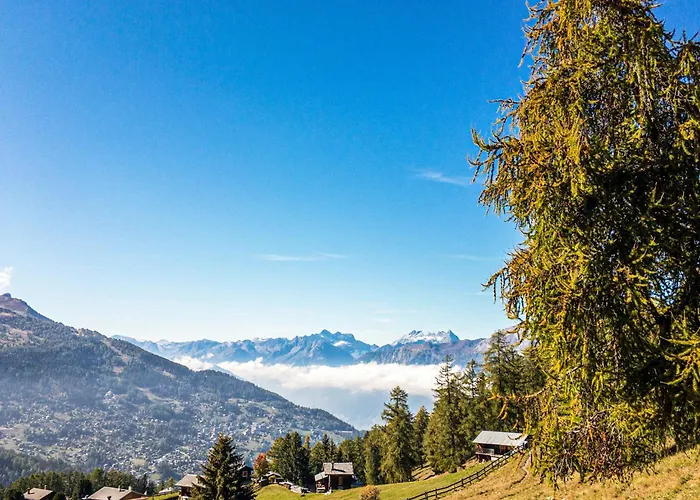 Pracondu 2 001 - Outdoor & Fun Charming * 넨다즈